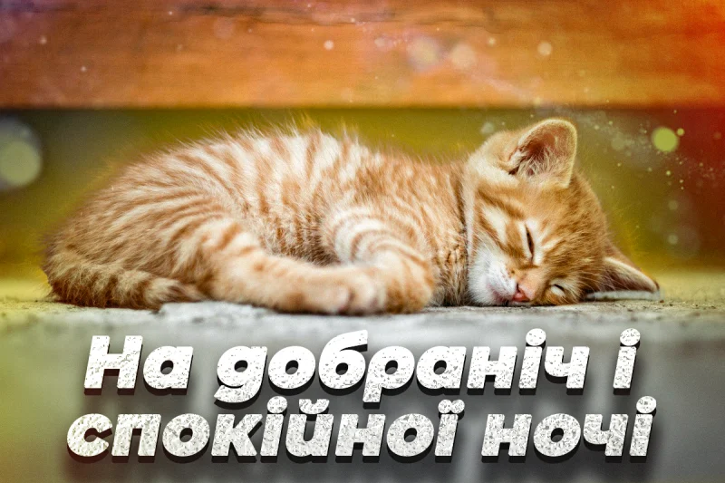 Сплюча кіт на кам'яній поверхні з побажаннями добранічі.