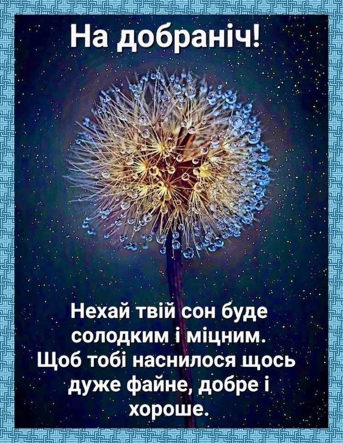 Побажання на добраніч з дитячим пухнастим квітом.