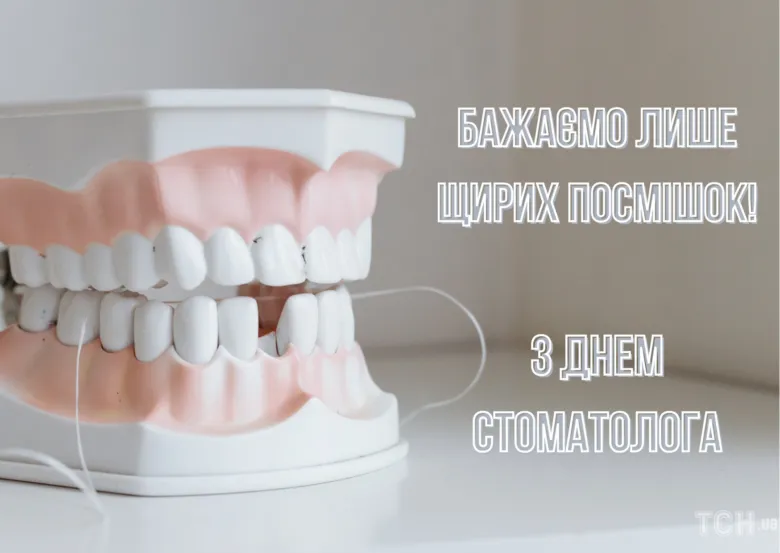 Модель зубів з ниткою для чищення та привітання стоматологу.