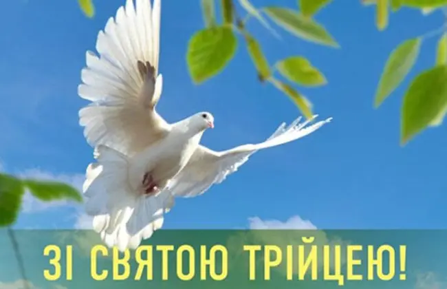 Біла голубка летить під листям на фоні неба.