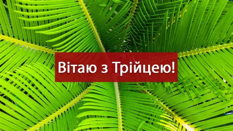 Яскраве привітання з Троїцею на фоні пальмового листя.