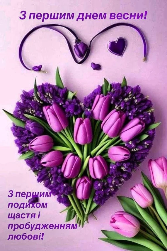 Серце з фіолетових тюльпанів та гіацинтів на фоні весняних привітань.