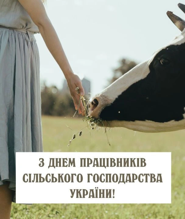Жінка годує корову травою на полі з привітанням сільгосппрацівникам України