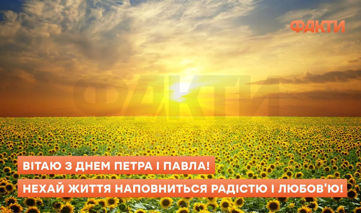 Соняшники на заході сонця з привітанням до Петра і Павла.