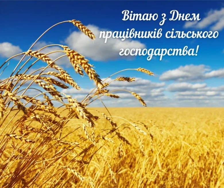 Золоте поле пшениці на блакитному небі з привітанням.