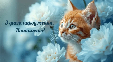 Кіт серед білих квітів з привітанням Наталочко