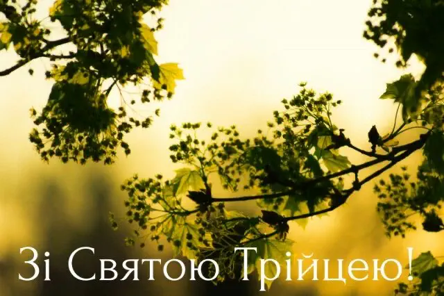 Сонячне дерево з привітанням зі Святою Трійцею