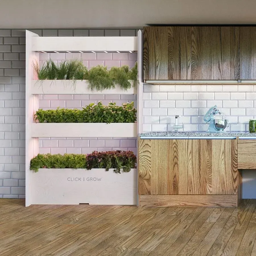 Vertical garden on kitchen wall