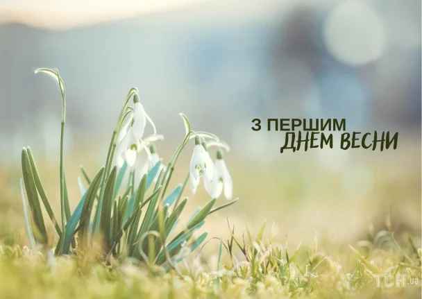 Білі сніжинки в траві на фоні м'якого світла