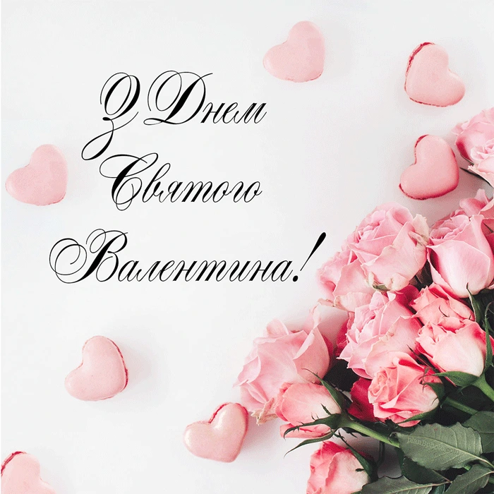 Розові троянди та серця на білому фоні з привітанням.