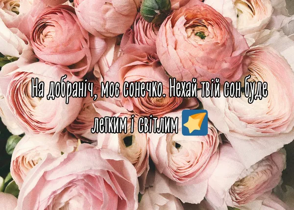 Побажання на добраніч серед ніжних рожевих квітів.